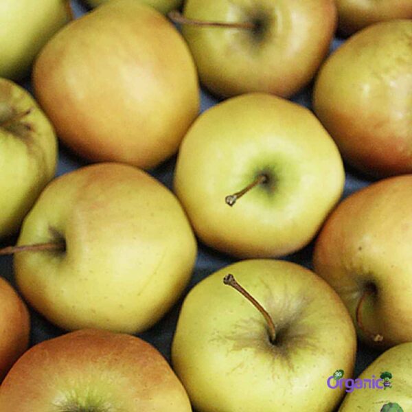 Organic Apple – Golden Delicious (each) Australia