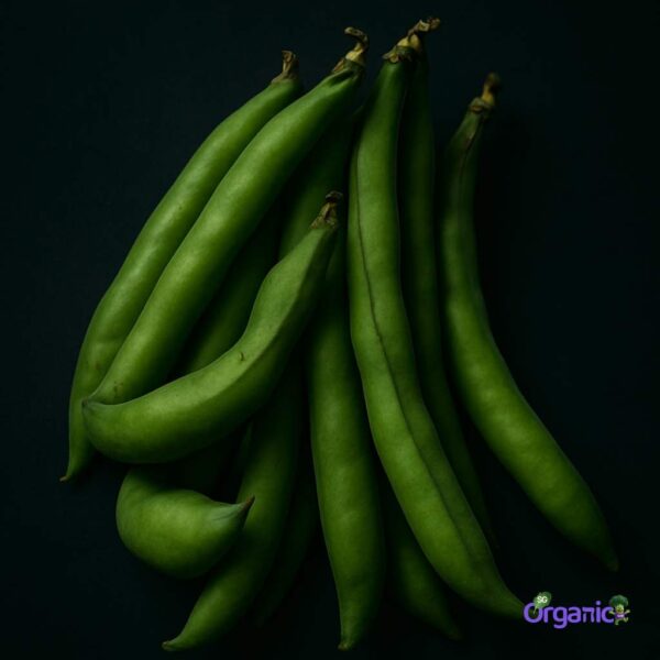 Organic Beans – Broad (100g) Australia