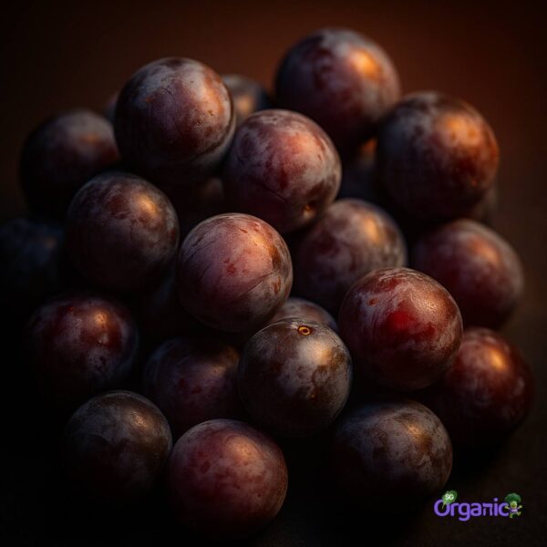 Organic Plum – Sugar (250g) Australia