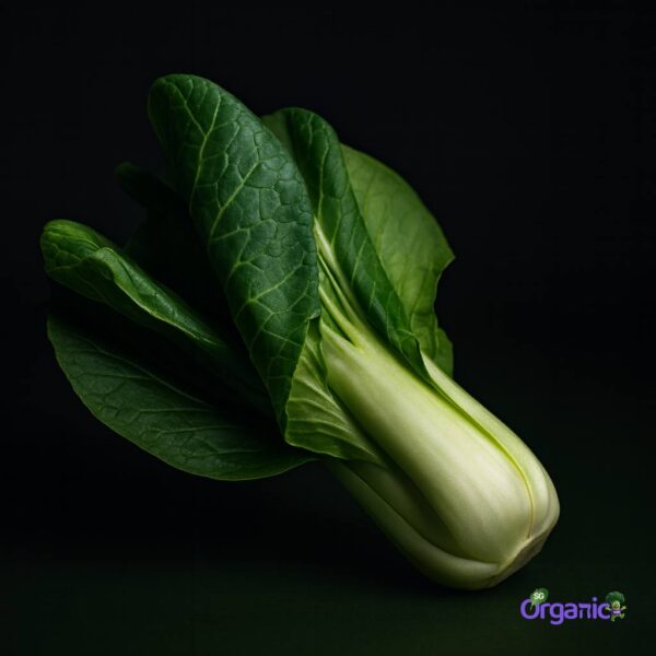 Organic Asian Greens – Bok Choy (1 stem) Australia