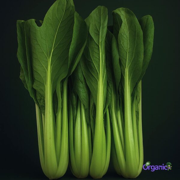 Organic Asian Greens – Choy Sum (1 Stem) Australia