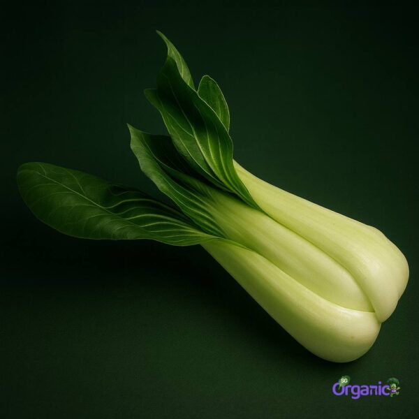 Organic Asian Greens – Pak Choy (1 stem) Australia