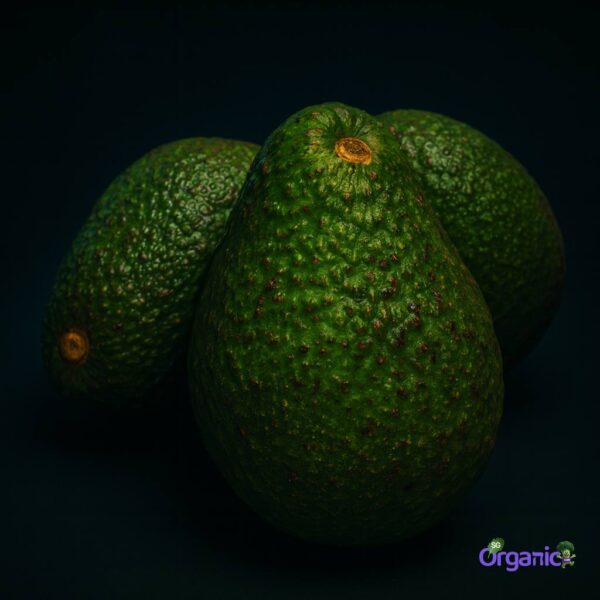 Organic Avocado – Hass (each) Australia