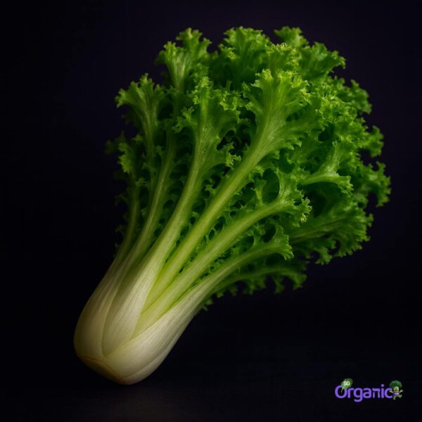 Organic Endive (each) Australia