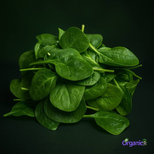 Organic Salad – Baby Spinach (100g) Australia