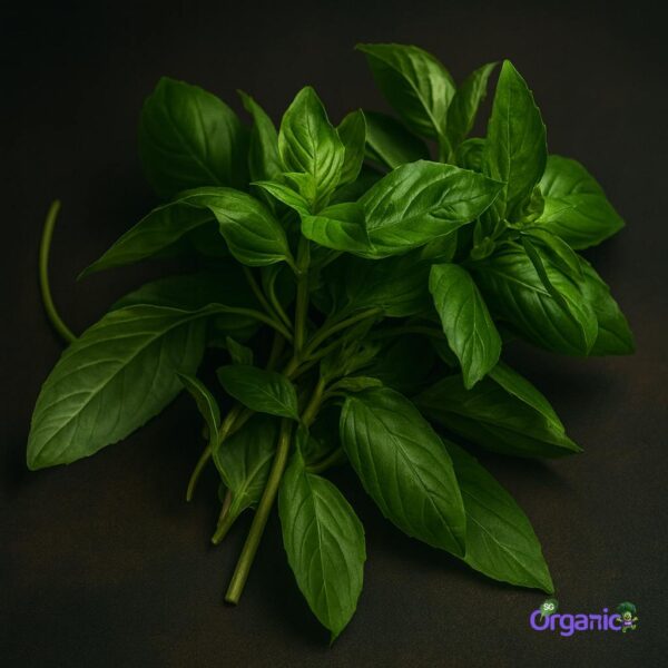 Organic Herbs – Basil (25g) Australia