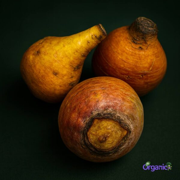 Organic Beetroot – Gold (250g) Australia