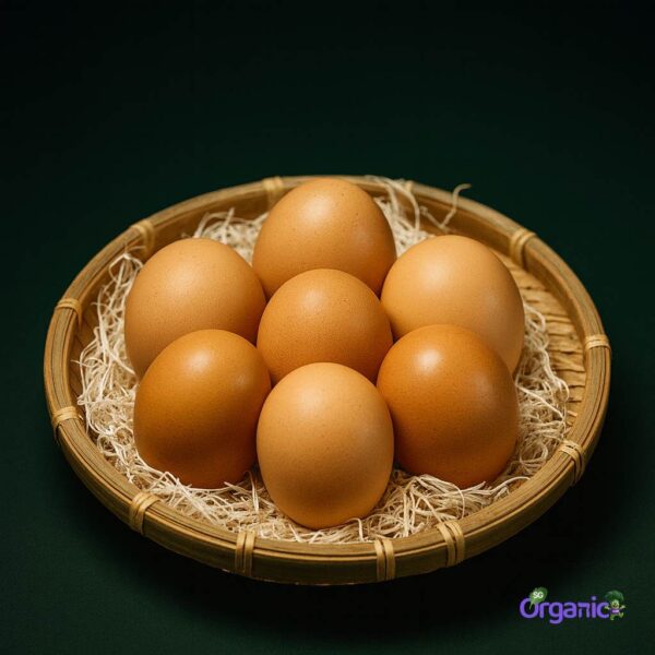 Ellerslie Farm Organic Eggs – Brown (12s, 700g) Australia