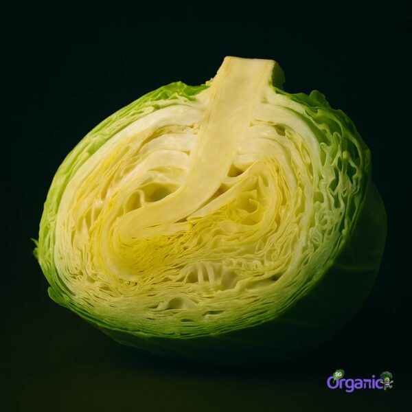 Organic Cabbage – Green (500g-cut) Australia