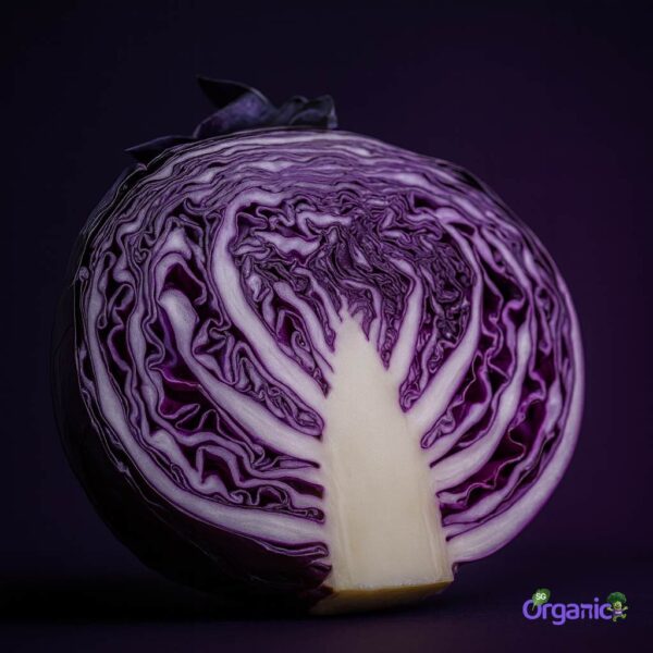 Organic Cabbage – Red (500g-cut) Australia