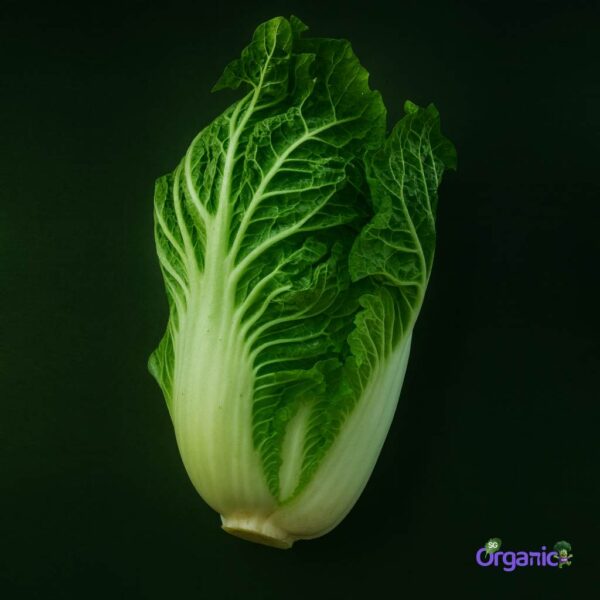 Organic Cabbage – Wombok (500g) Australia