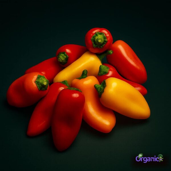 Organic Capsicum – Mini Heirlooms (snack-sized 250g) Australia
