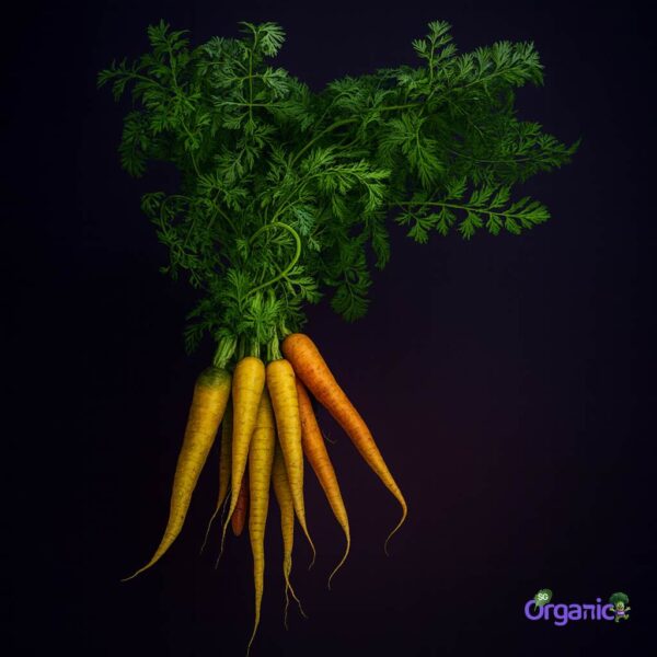 Organic Carrots – Dutch (250g) Australia