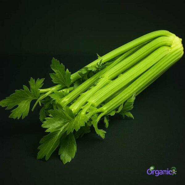 Organic Celery (750g) Australia