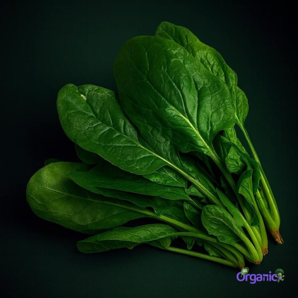 Organic Spinach – English (250g) Australia