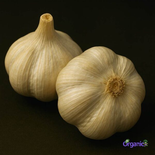 Organic Garlic (100g) Australia