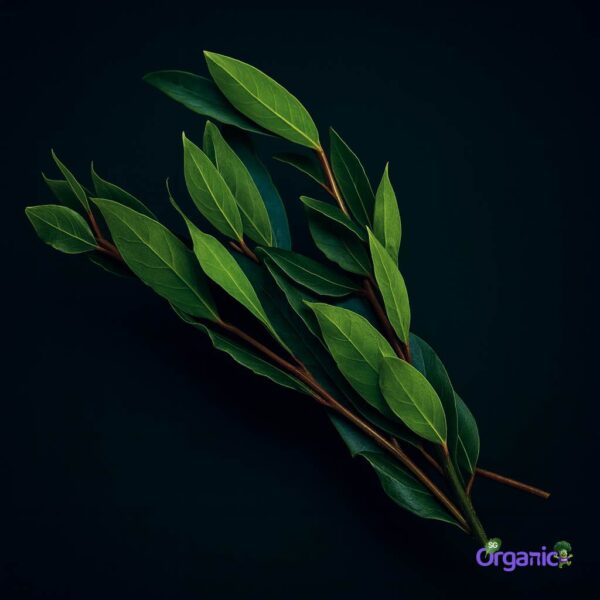 Organic Herbs – Bay Leaves (25g) Australia