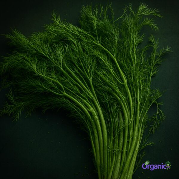 Organic Herbs – Dill (25g) Australia