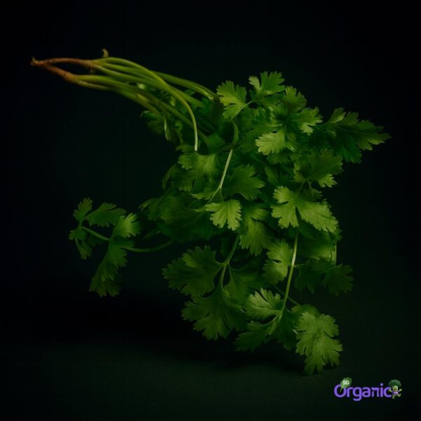 Organic Herbs – Coriander (25g) Australia
