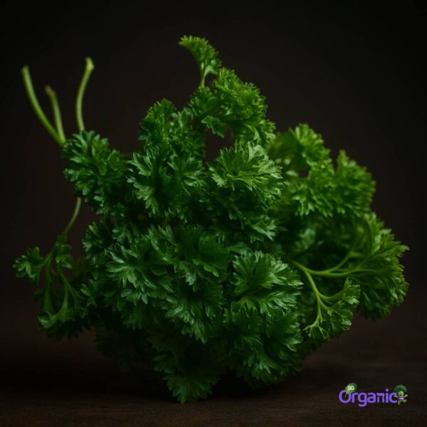 Organic Herbs – Parsley, Curly (25g) Australia