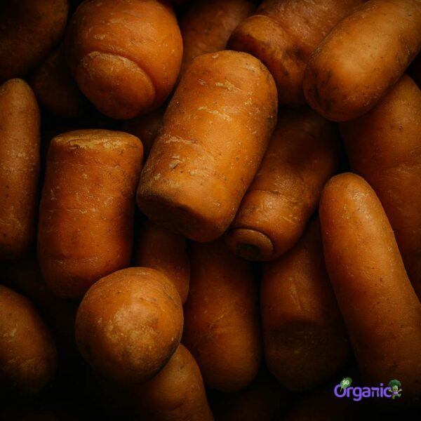 Organic Carrot – Juicing (1kg) Australia