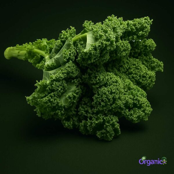 Organic Kale – Green (400g) Australia