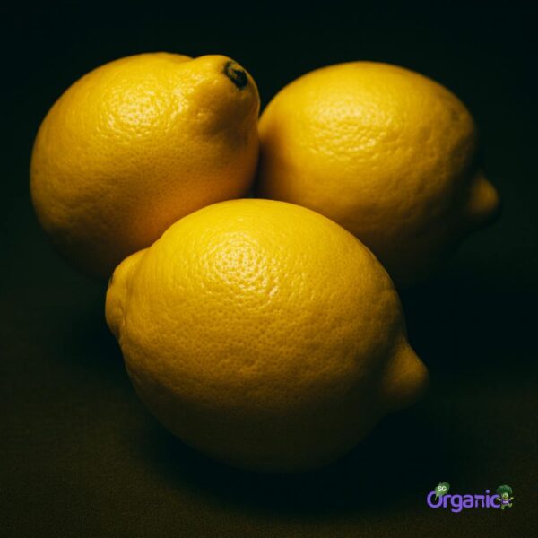 Organic Lemon (each) Australia
