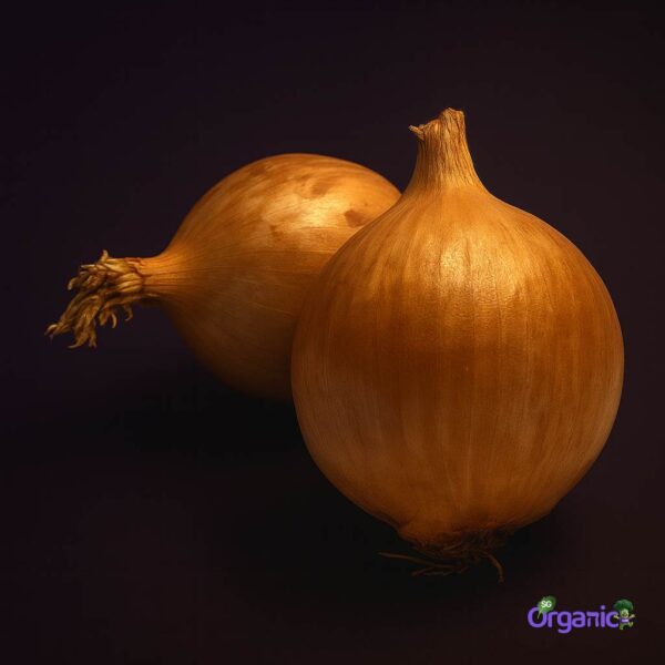 Organic Onions – Brown (250g) Australia