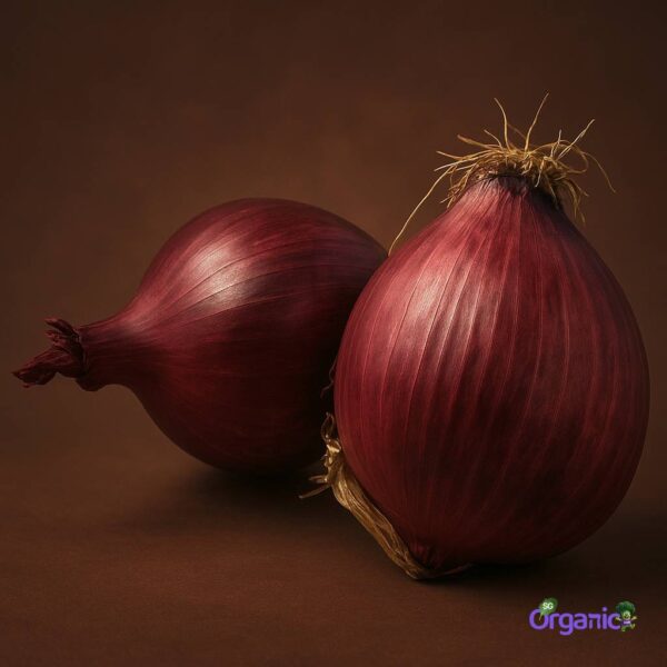 Organic Onions – Red (250g) Australia
