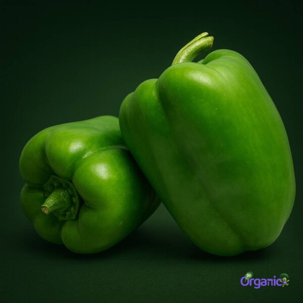 Organic Capsicum – Green (each) Australia