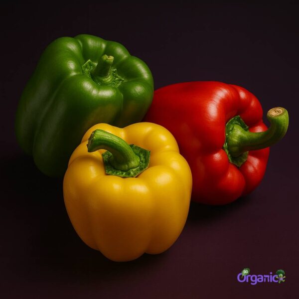 Organic Capsicum – Rainbow (One of each colour) Australia