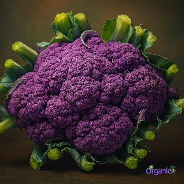 Organic Cauliflower – Purple (500g) Australia