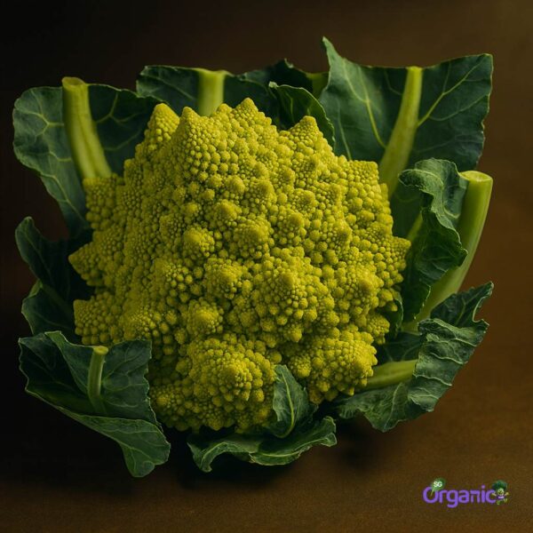 Organic Cauliflower – Romanesco (500g) Australia