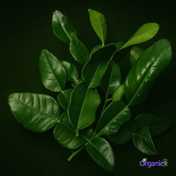 Organic Herbs – Kaffir Lime Leaves (25g)