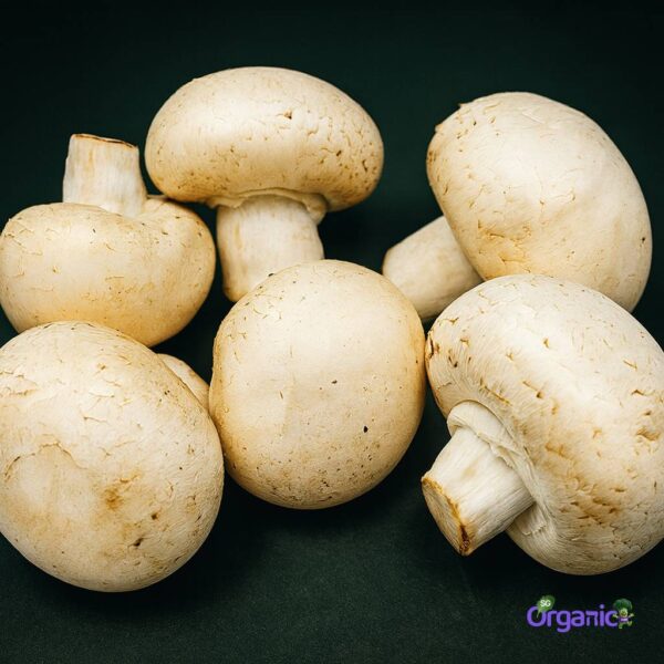 Organic Mushroom – White Button (100g) Australia