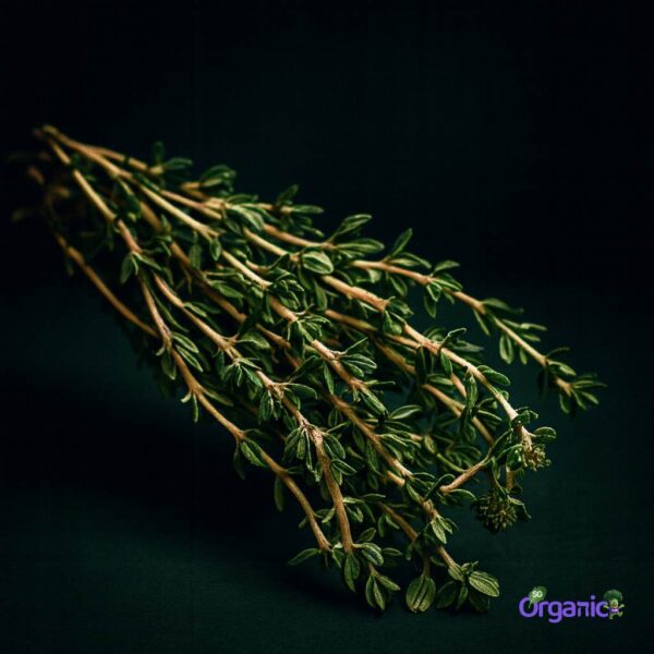 Organic Herbs – Thyme (25g) Australia