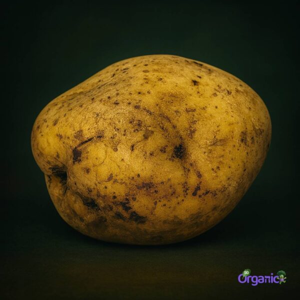 Organic Potato – Dutch Cream (500g) Australia