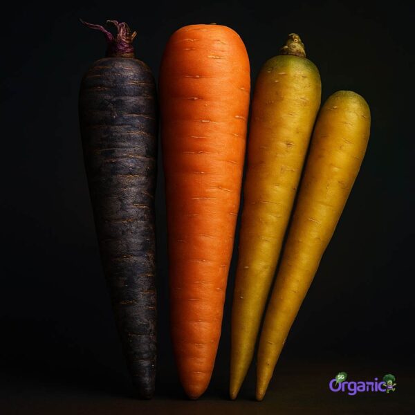 Organic Carrots – Rainbow (500g) Australia