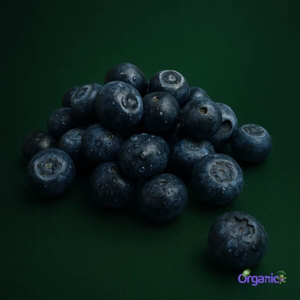Organic Blueberries (125g) Australia