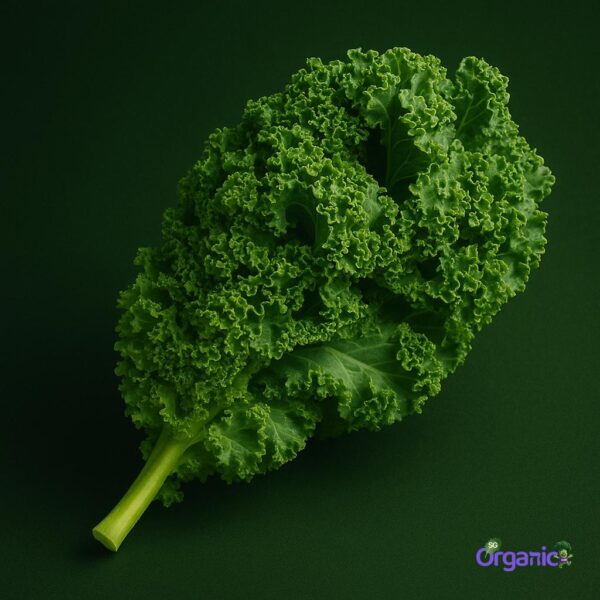 Organic Salad – Kale Leaves (100g) Australia