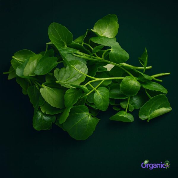 Organic Salad – Watercress (100g) Australia