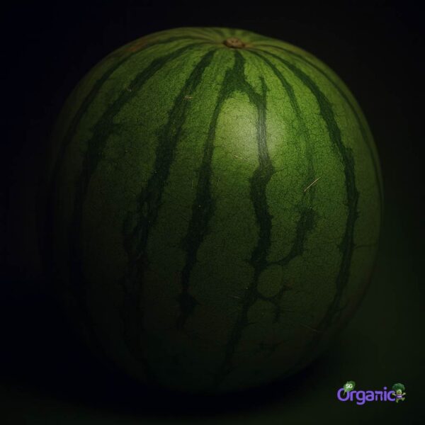 Organic Melon – Watermelon (1kg-cut) Australia