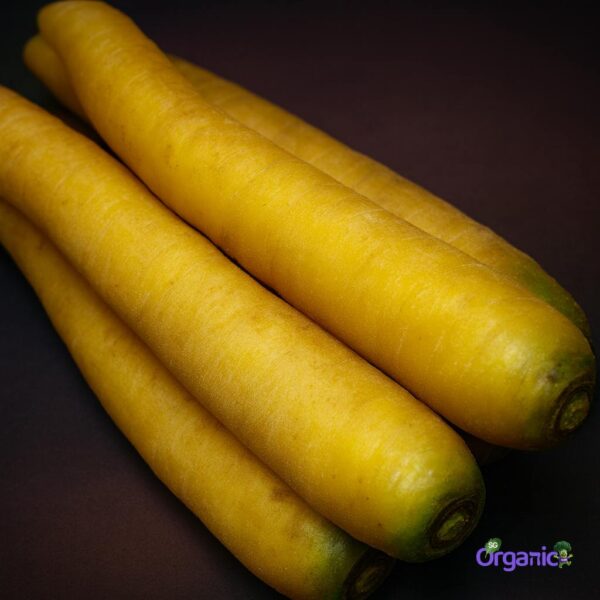 Organic Carrots – Yellow (500g) Australia